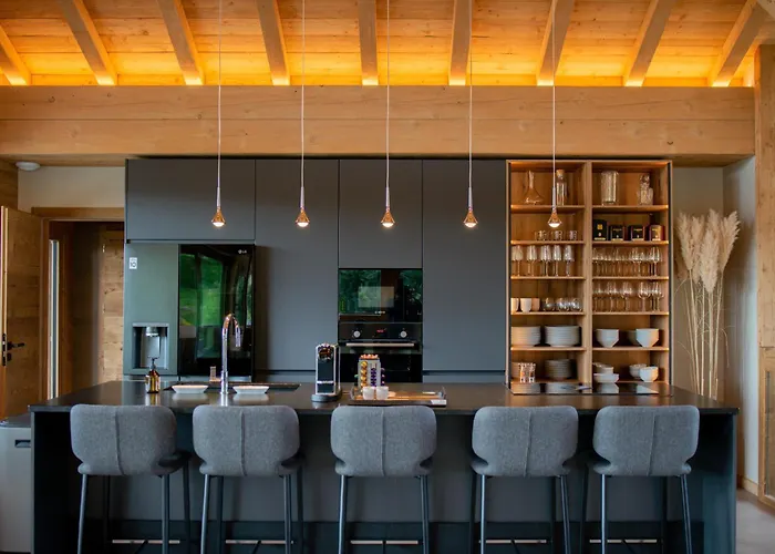 Chalet - L'ours Blanc Gerardmer